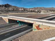 Custom formliners I-25 Williamsburg Overpass, NM, El Terrero Construction